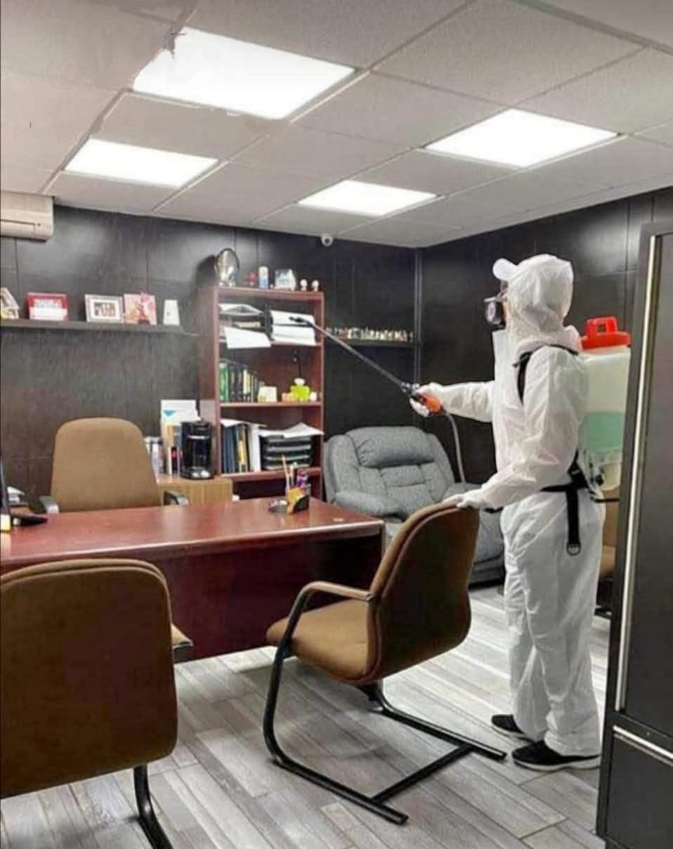 Servicio de control de plagas en oficina