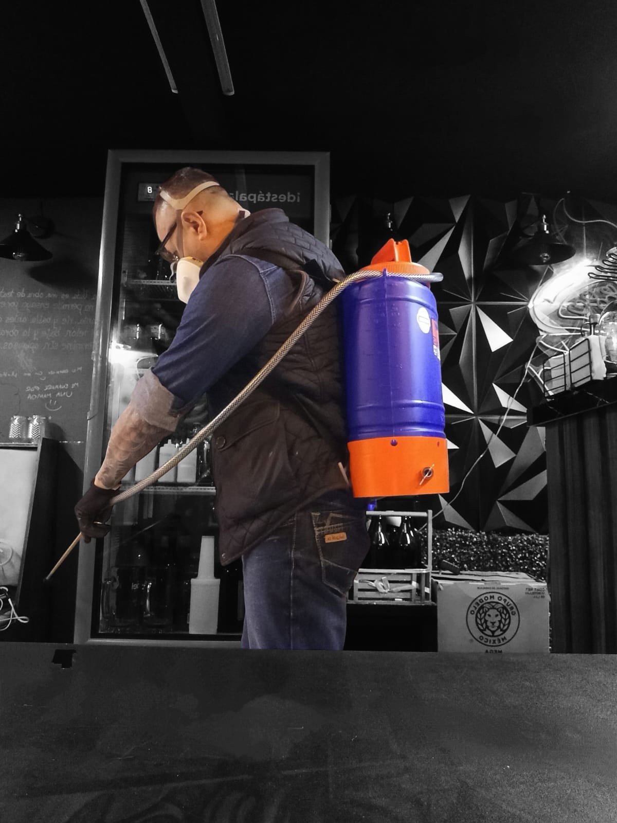 Imagen conceptual relacionada con plagas en cocina